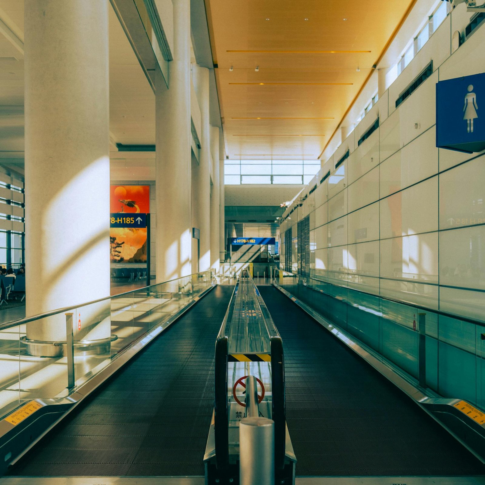 trasport services